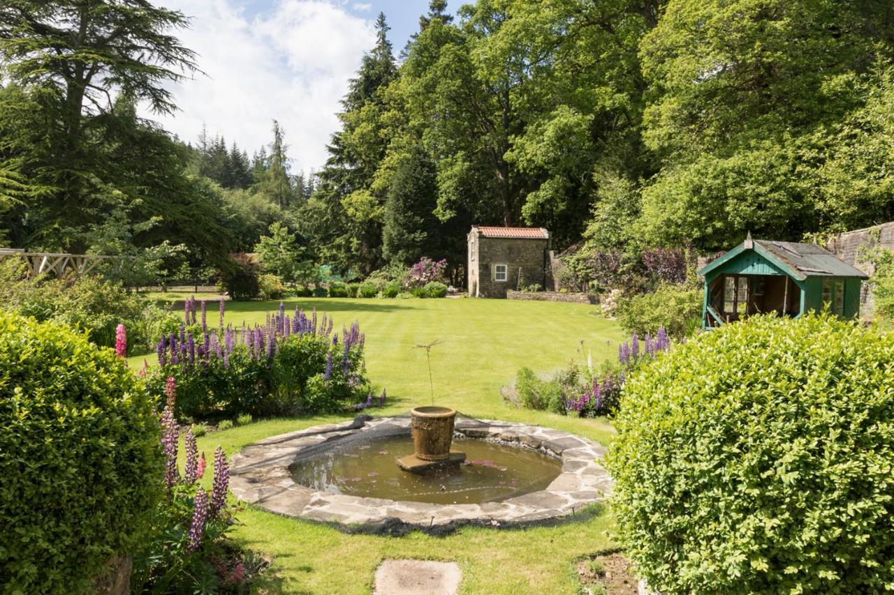 Hamsterley  Grove House B &B B&B 외부 사진