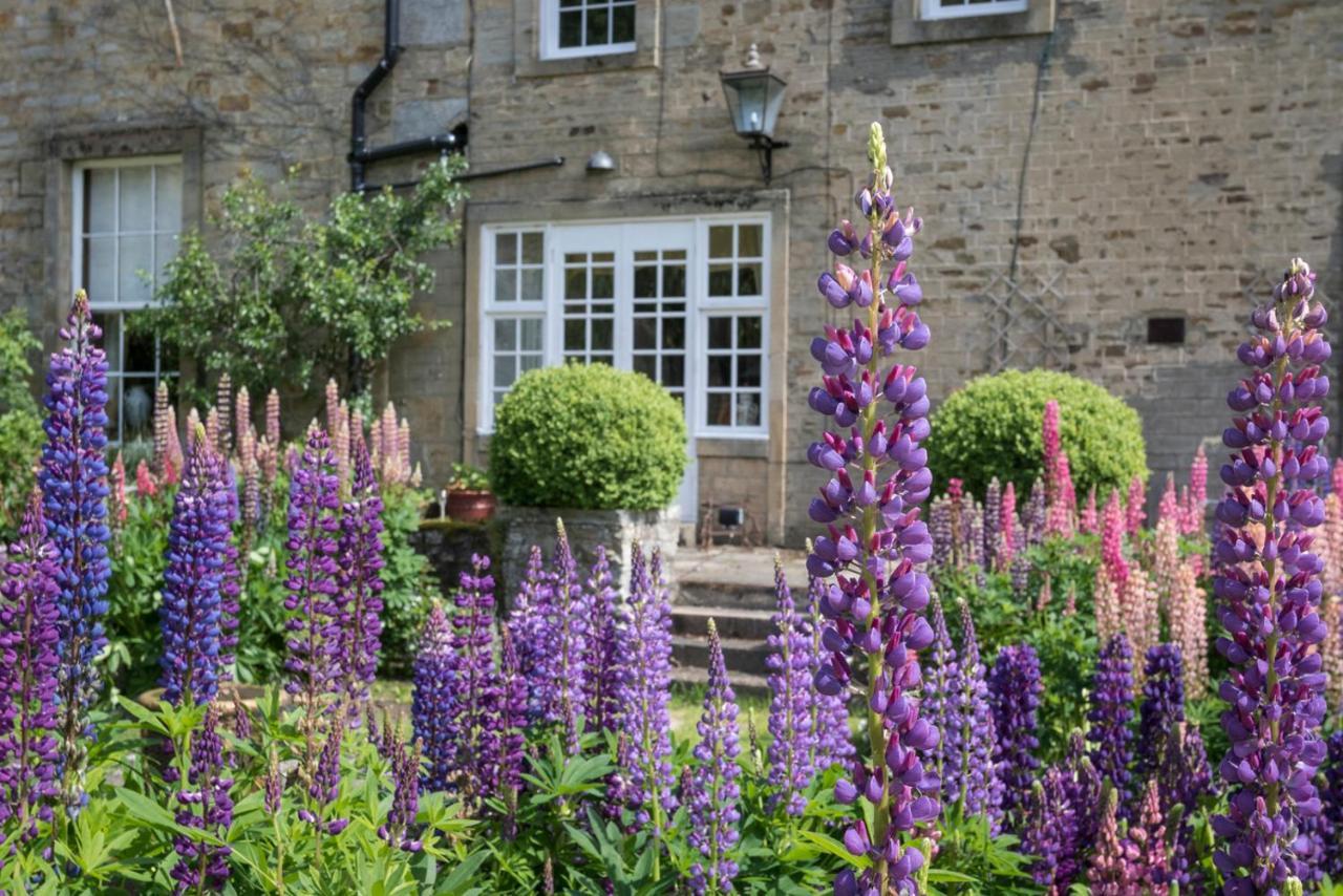 Hamsterley  Grove House B &B B&B 외부 사진